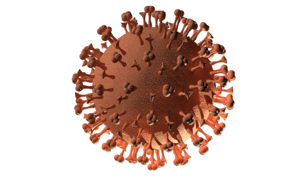 Coronavirus Germs PNG