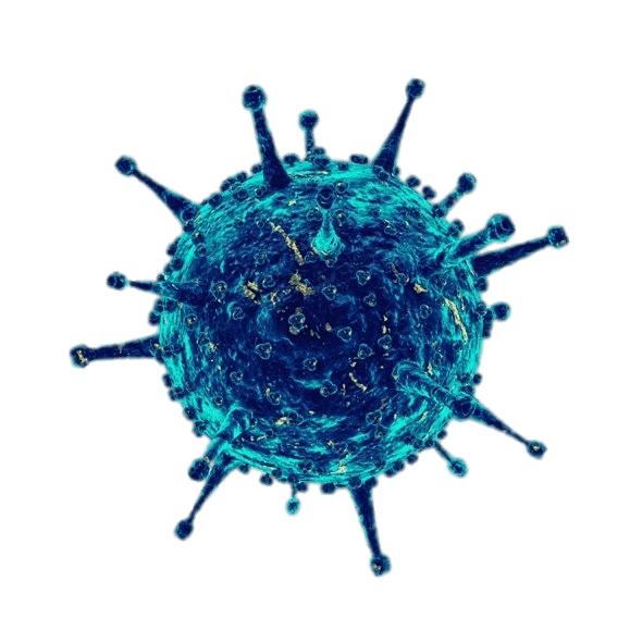 Coronavirus Germs PNG Download Image