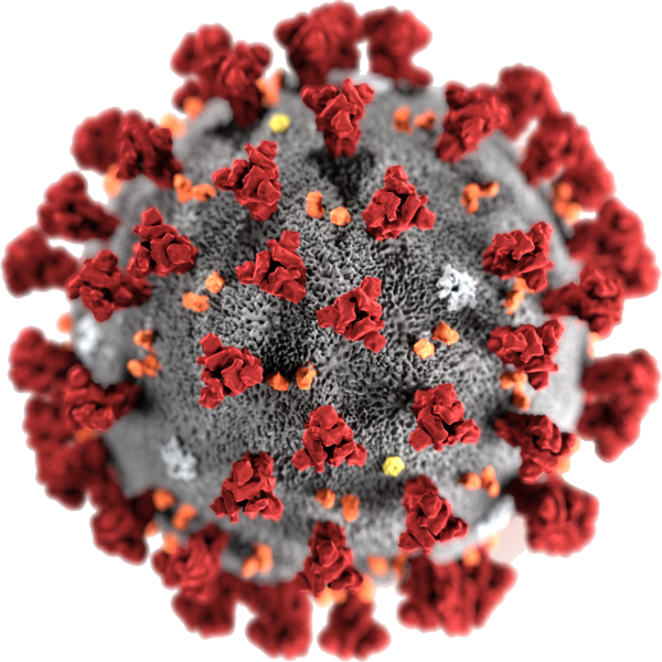 Coronavirus Germs PNG File