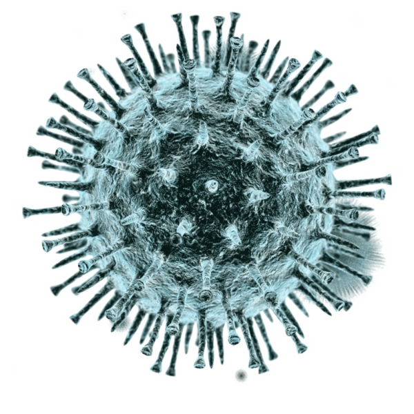Coronavirus Germs PNG HD Image