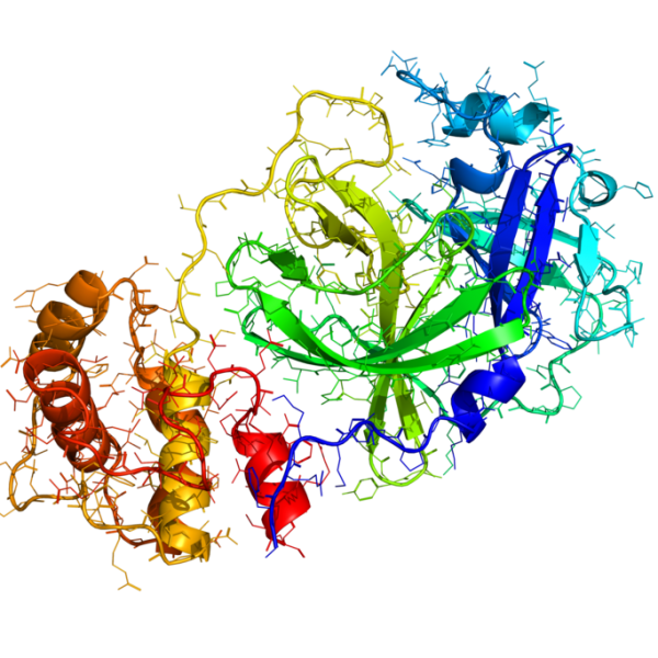 Coronavirus Germs PNG Picture