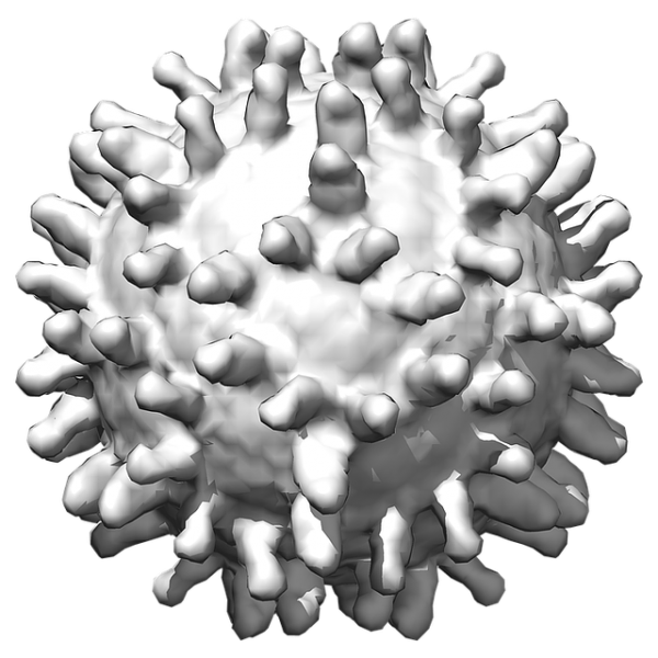 Coronavirus PNG Image HD