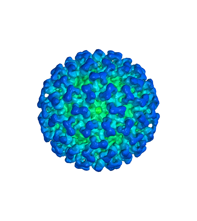 Coronavirus PNG Image