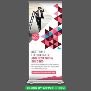 Professional Services Roll up Banner Psd Template