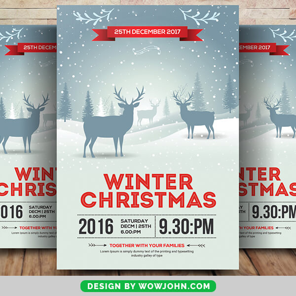 Minimal Winter Christmas Psd Flyer Template