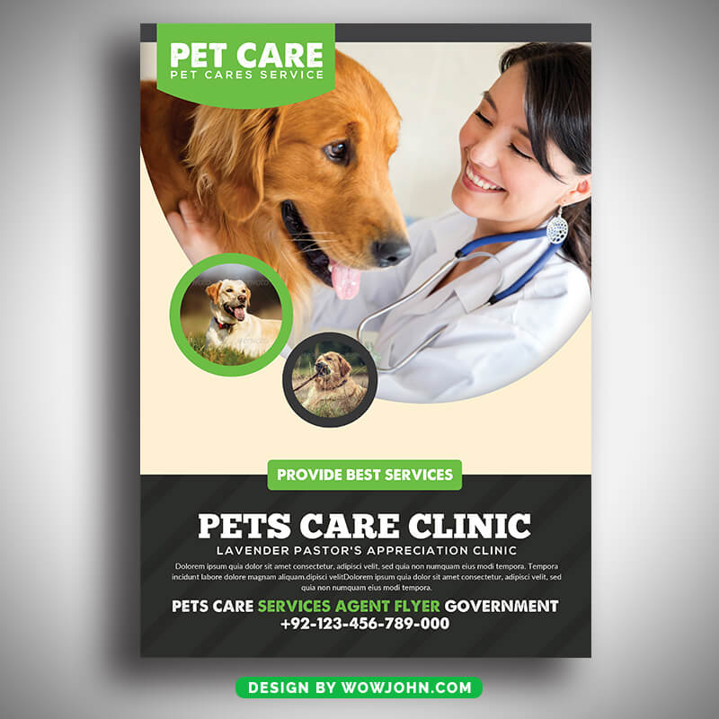 Free Pet Care Psd Flyer Template Download