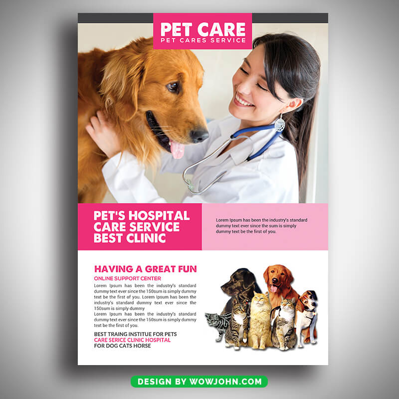 Pets Clinic Doctor Flyer Template Psd Download