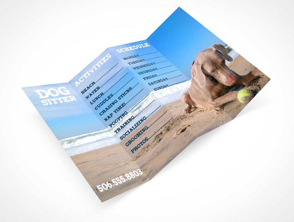 Free 4 Panel Flyer Small Business Brochure PSD Mockup